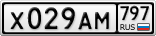 Х029АМ797