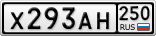 Х293АН250